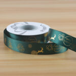 RIBBON SDDLSD 09