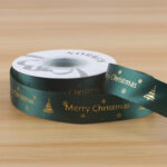 RIBBON SDDLSD 12
