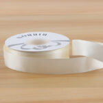RIBBON CSSDB 02