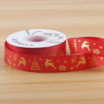 RIBBON SDLWSD 09
