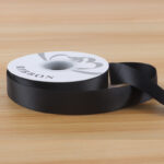 RIBBON CSSDB 03